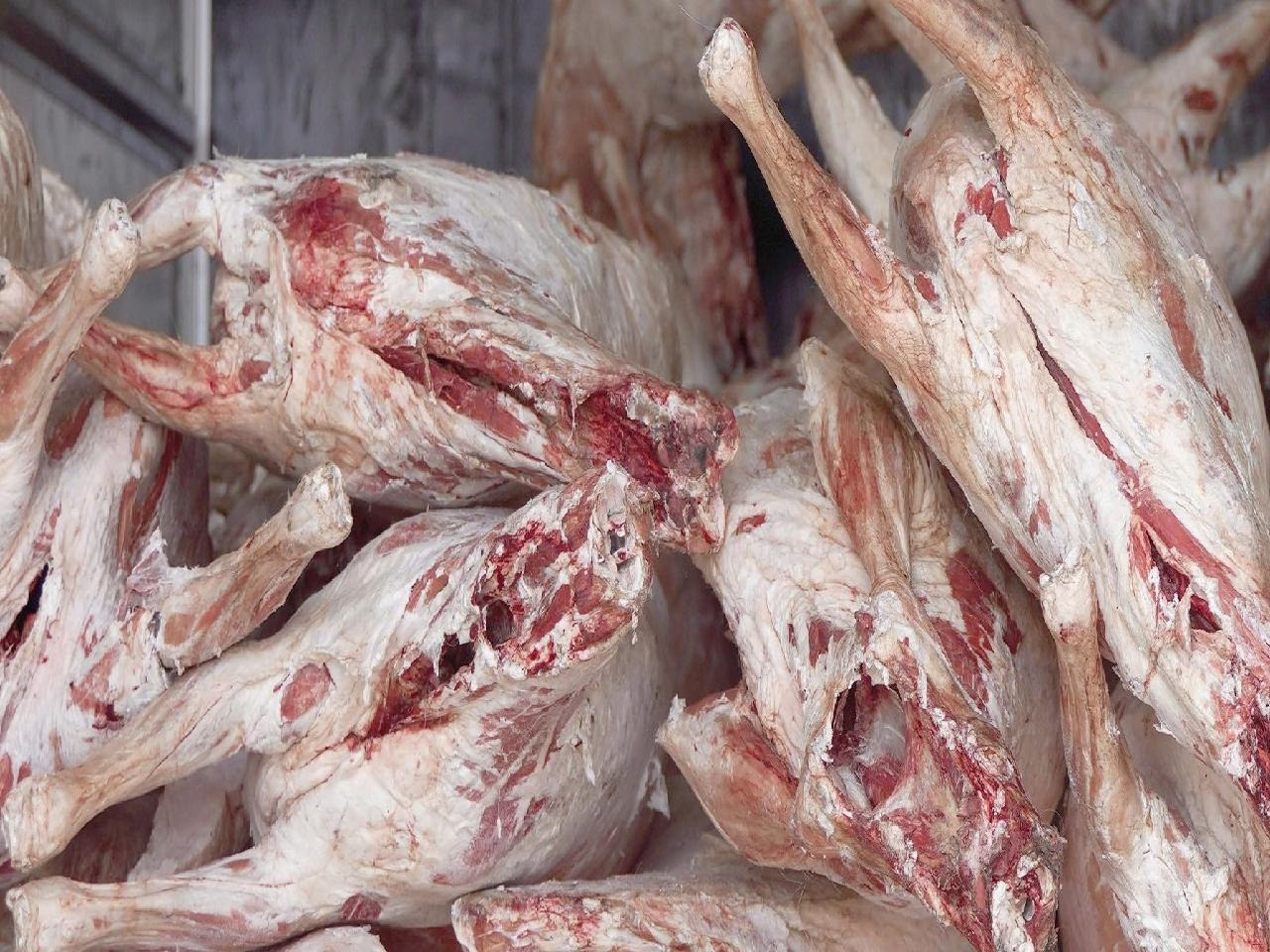 Нөөцийг махыг 2026 оны хоёрдугаар сараас худалдаална